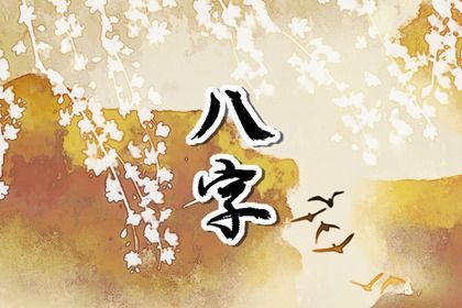 命宫身宫速读