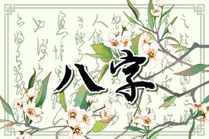 排盘报告阅读顺序