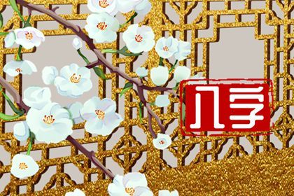 流年运势:动态视角