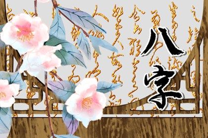 如何阅读一份排盘
