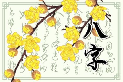 车牌查吉凶|查询车牌号码吉凶|车牌吉利号码测算|八字车牌号查询