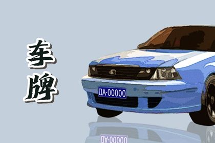 车牌数字解读