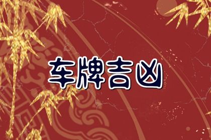 如何读本页结果