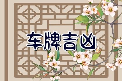 在线号码查询怎么看