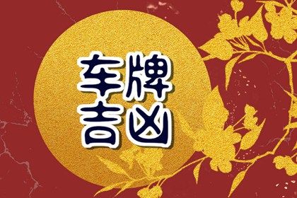 在线号码查询怎么看