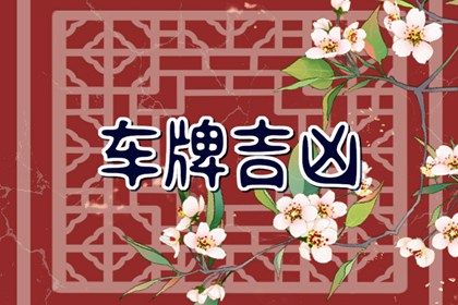 任意数字怎么测