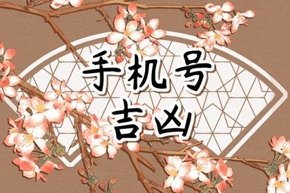 81 数理简介