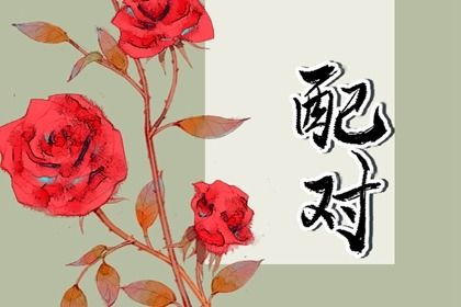 东西四命与婚房方位