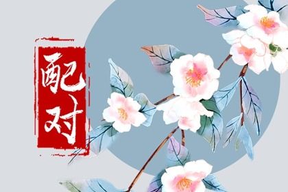 杨颖八字分析,八字查询命盘,八字子女测算