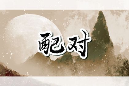 血型配对（民俗参考）