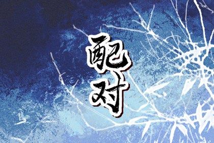三合六合六冲在生活中的投射