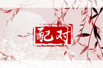 夫妻宫（日支）与婚后相处
