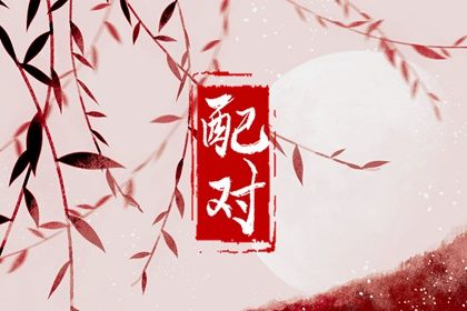 现代婚恋中的合婚角色