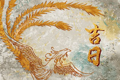 全家生肖都要看吗