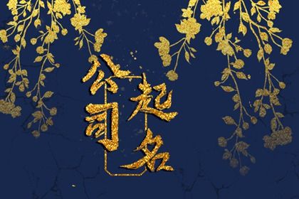 示例命局怎么用