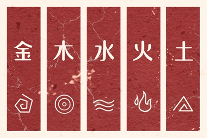 数字化五行参考用法