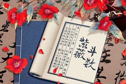 紫微斗数是什么