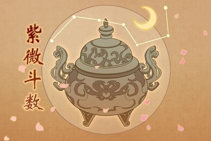 在线排盘看什么
